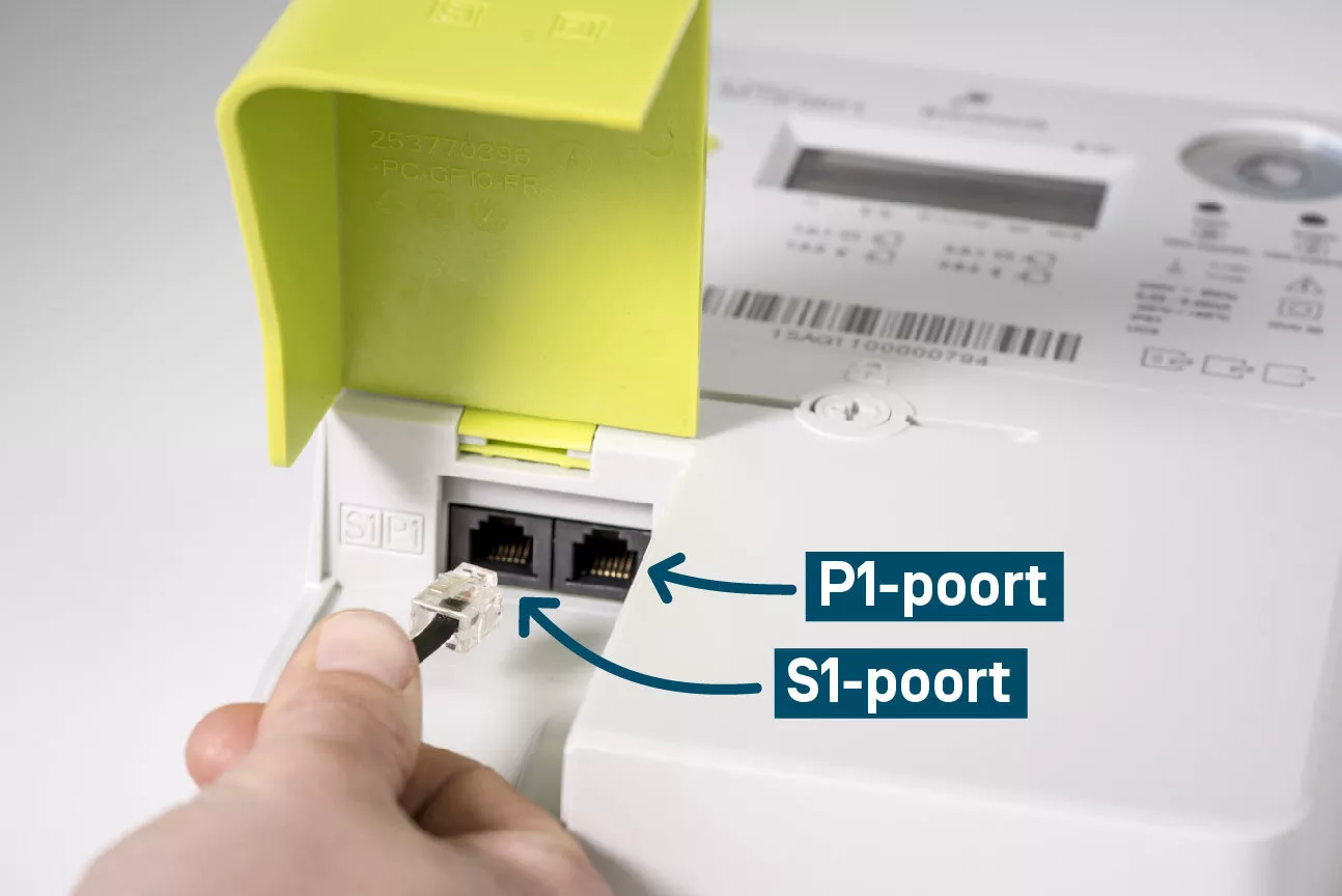 P1 and S1 port